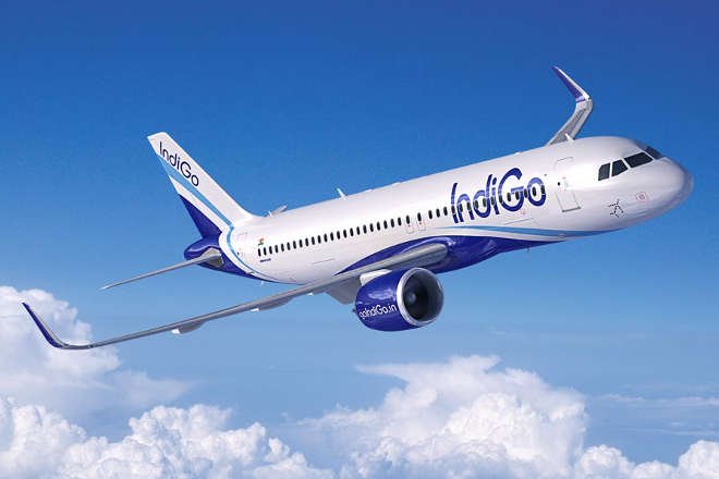 Indigo